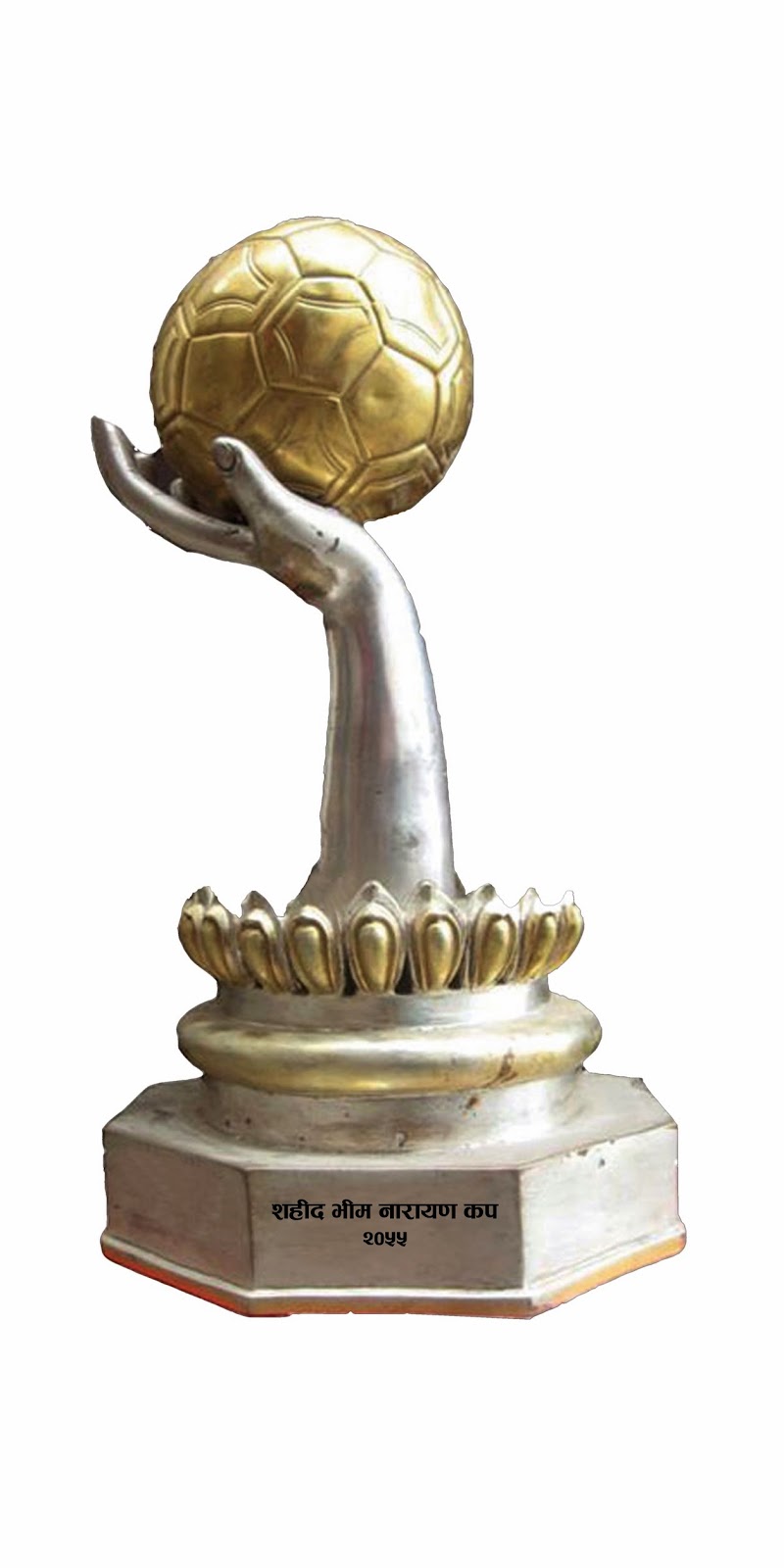 Bhim-Narayan-logo1
