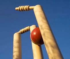 cricket