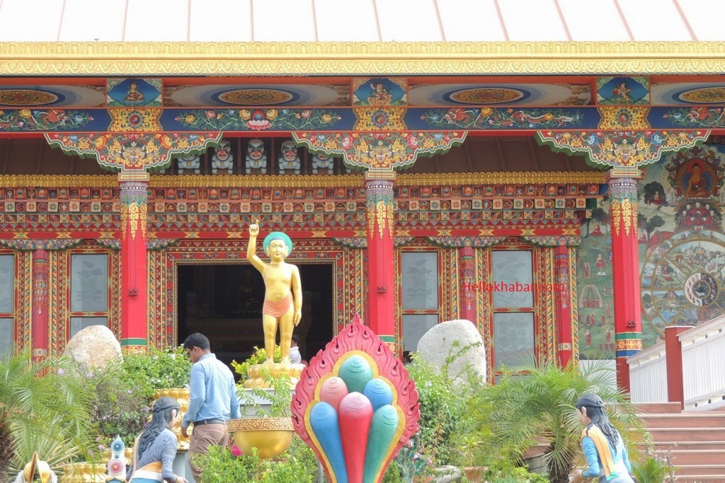 DSCN0329
