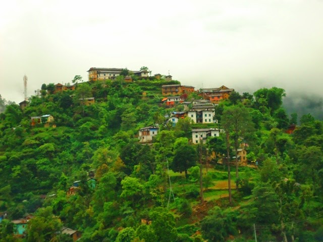 DSC00833