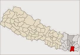 morang