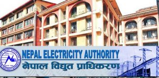 विद्युत प्राधिकरणको नाफा ११ अर्ब ६ करोड