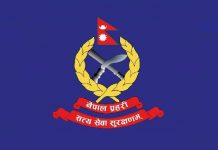 वीरगञ्ज बजारमा छापा मार्दा तीन सशस्त्र प्रहरी घाइते, दुईवटा गाडीमा क्षति