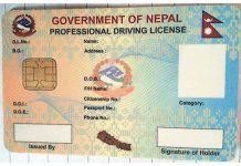 छ महिनामा एक लाख ७६ हजार सवारी अनुमतिपत्र वितरण गरिने