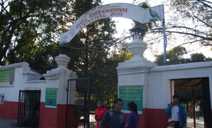 Central-Zoo-Nepal