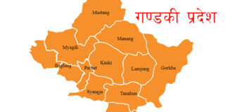 गण्डकी प्रदेशमा १६ सङ्क्रमित थपिए, ५०४ पुगे, ४९ निको भए