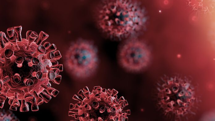 corona virus