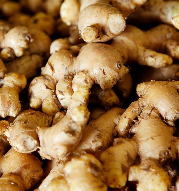 ginger