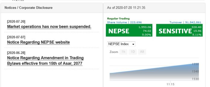 nepse stock