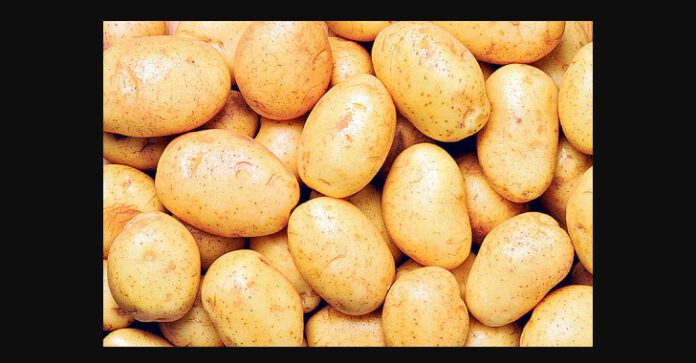 Alu potato
