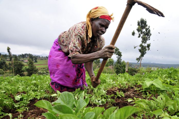 farmer
