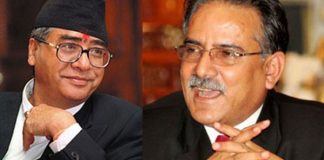 प्रचण्डले प्रधानमन्त्रीलाई भने, ‘क्रिकेट खेलाडीलाई कारबाही नै गर्नु ठिक भएन’
