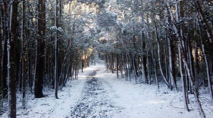 snow