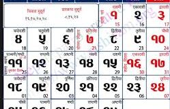 भित्तेपात्रोको अनुगमन गर्न सरकारी समिति, स्वीकृति नलिनेलाई कारबाही गरिने