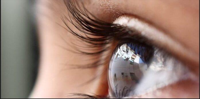eye