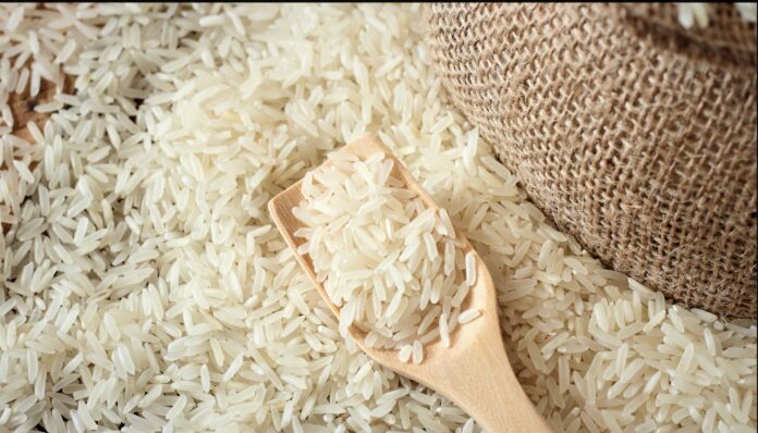 rice nepal