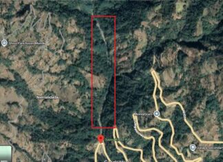 खोटाङमा सार्वजनिक जग्गाको रुख बिरुवा धमाधम बिक्री, वनका कर्मचारीकै मिलेमतोको आशंका