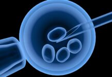 आईभिएफको नाममा चरम ठगीः १५ लाख खर्च– न सन्तान, न रह्यो नै पैसा