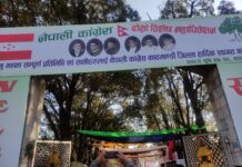 कांग्रेस विशेष महाधिवेशन : भोलि बिहान मतदान