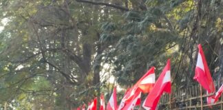 विवादका बिच कांग्रेस विशेष महाधिवेशनः झण्डाले सिँगारिए उपत्यकाका सडक