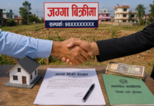 कालिमाटी फलफूल सहकारीः जग्गा बिक्रीकाे हिसाब गोलमाल, लाखौं अनियमितता