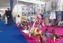 भृकुटीमण्डपमा दक्षिण एसियाली व्यापार मेला जारी