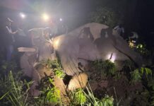 ‘ध्रुवे’लाई ‘रेडियो कलर’ जडान गरेर छाडियो